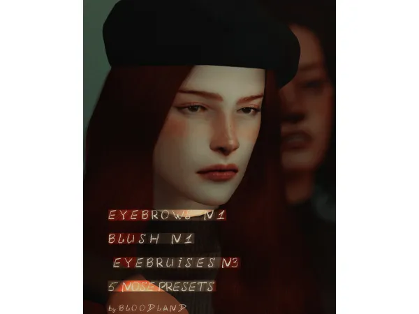 Eye bruises N3 Eyebrows N1 Blush N1 5 nose presets by bloodland