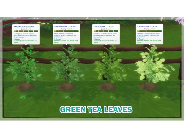 Maxis Match GREEN TEA LEAVES MATCHA GYOKURO SENCHA LONGJING by icemunmun - The Sims 4 Custom Content