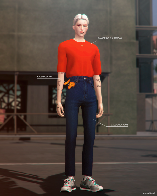 Alpha MMSIMS am Calendula Set by simsfinds - The Sims 4 Custom Content