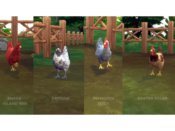 Maxis Match Freebie Chicken Breed Pack 1 by Crucible's Workshop - The Sims 4 Custom Content