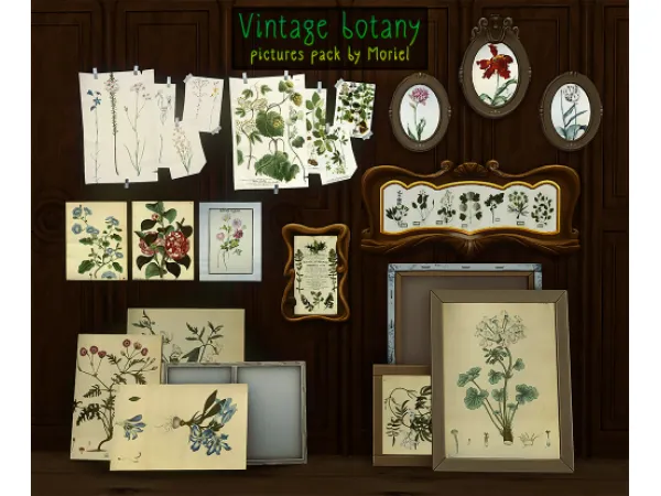 Maxis Match [Moriel] Vintage botany pictures pack - The Sims 4 Custom Content