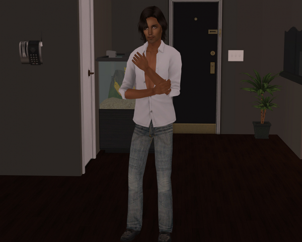 Blackswansims Posebox by simsfinds - The Sims 2 Custom Content