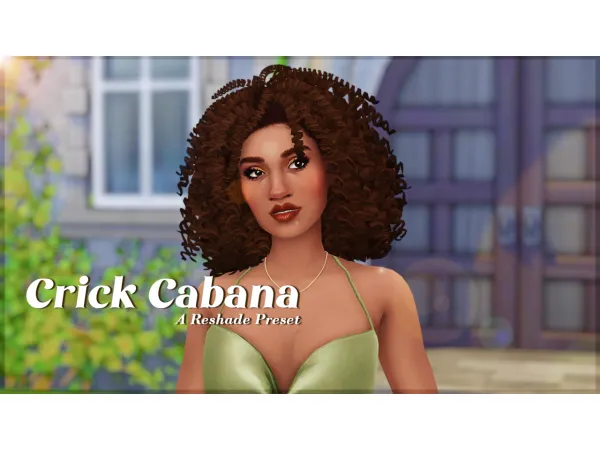 Mix Crick Cabana A Sims 4 Reshade Preset - The Sims 4 Custom Content