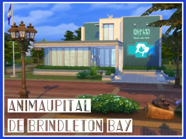 Maxis Match Animaupital (Clinic Vet No ) by youlie25 - The Sims 4 Custom Content