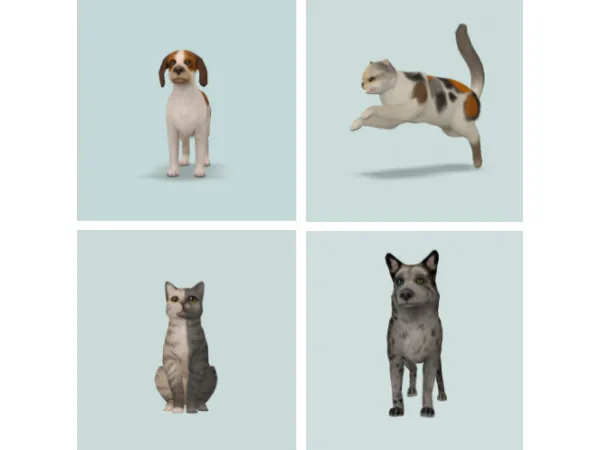 Cats And Dogs - The Sims 2 Custom Content