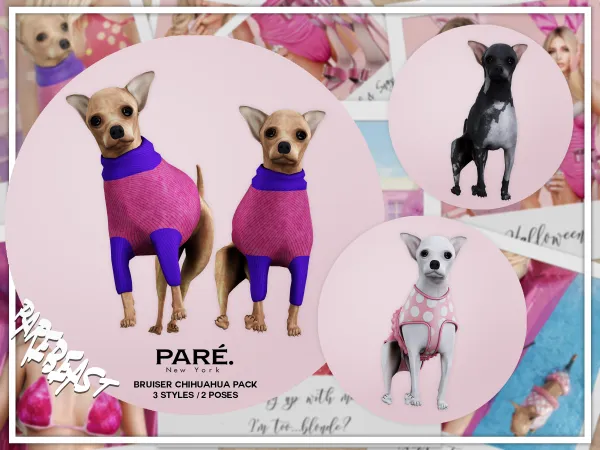 Alpha Legally PARE Bruiser Chihuahua Pack - The Sims 4 Custom Content