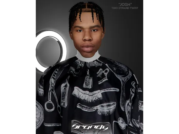 Alpha JOSH Two strand twist by brandysimswebsite - The Sims 4 Custom Content