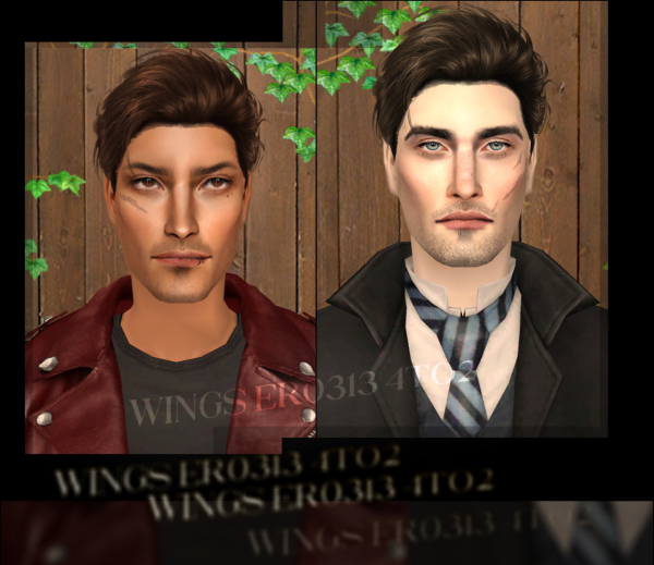 Wingss ER0313 4to2 by simsfinds - The Sims 2 Custom Content