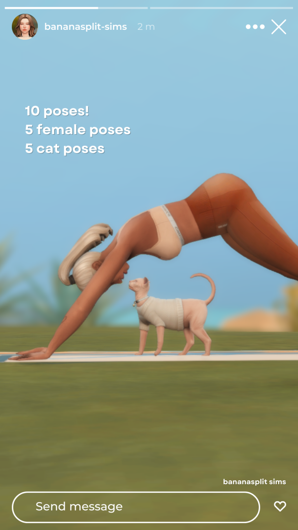 Mix [BANANASPLIT] Cat Yoga by simsfinds - The Sims 4 Custom Content