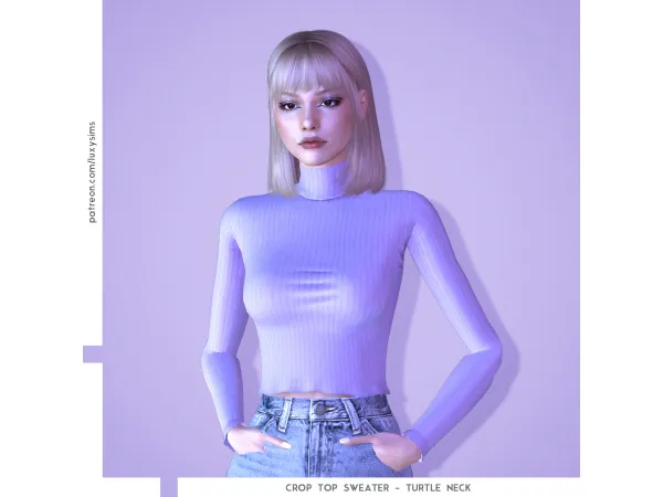 Croptop Sweater - Turtle Neck