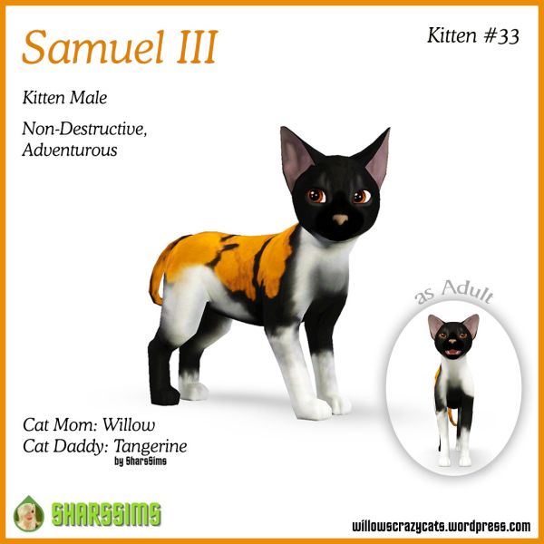 SAMUEL Kitten 33 by simsfinds - The Sims 3 Custom Content