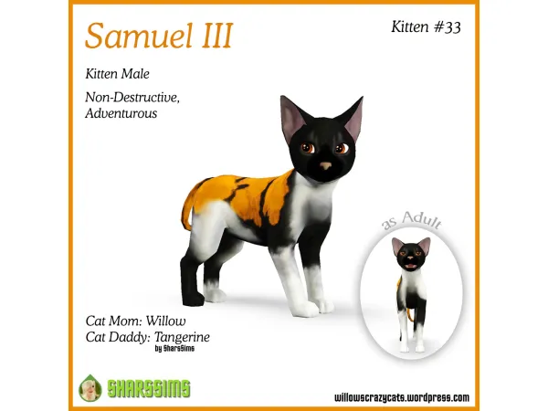SAMUEL Kitten 33 - The Sims 3 Custom Content