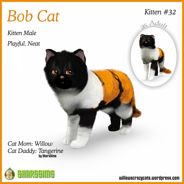 BOB CAT Kitten 32 by simsfinds - The Sims 3 Custom Content