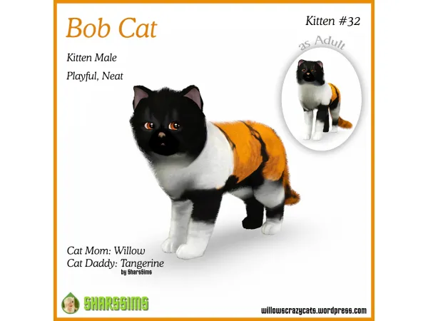 BOB CAT. Kitten #32 ⁠