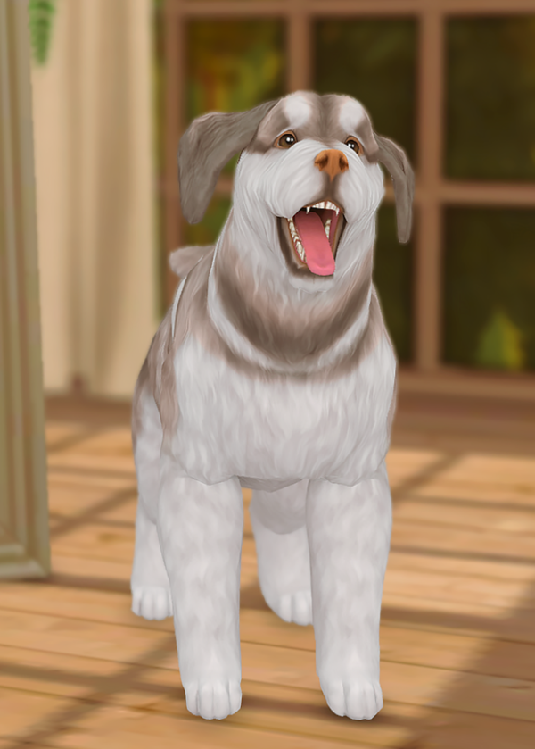 Maxis Match adoptions franklin pizza by simsfinds - The Sims 4 Custom Content