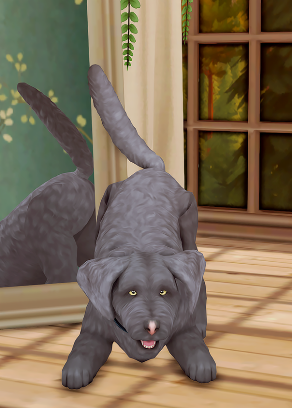 Maxis Match adoptions shadow pizza by simsfinds - The Sims 4 Custom Content