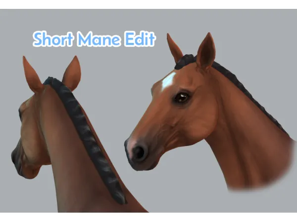 Maxis Match Short Mane Edit by Objuct - The Sims 4 Custom Content