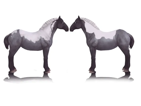 Maxis Match Tobiano Stencil Maiden - The Sims 4 Custom Content