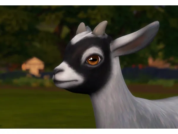 Maxis Match Soulmate Eyes for Mini goats and sheep (Default) elsa by someone - The Sims 4 Custom Content