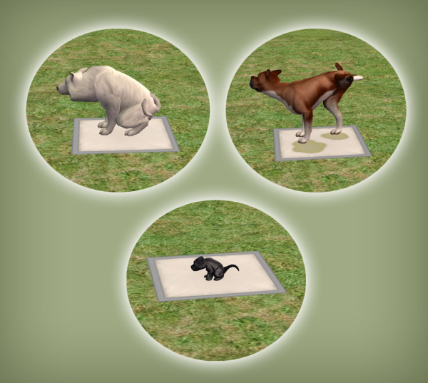 Indoor Dog Potty Pad Functional for by simsfinds - The Sims 2 Custom Content