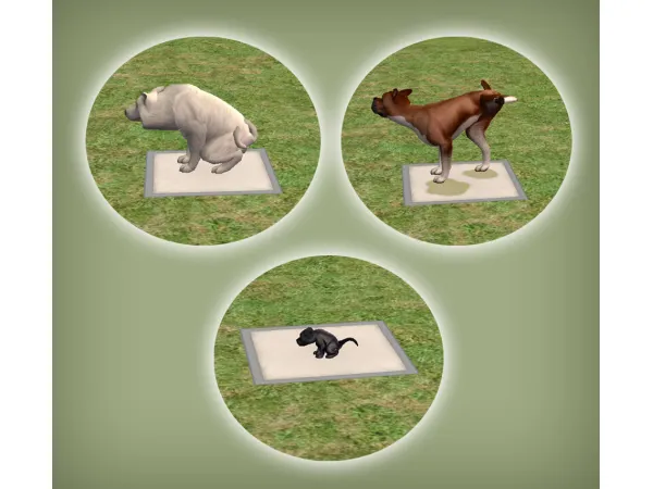 Indoor Dog Potty Pad Functional for - The Sims 2 Custom Content