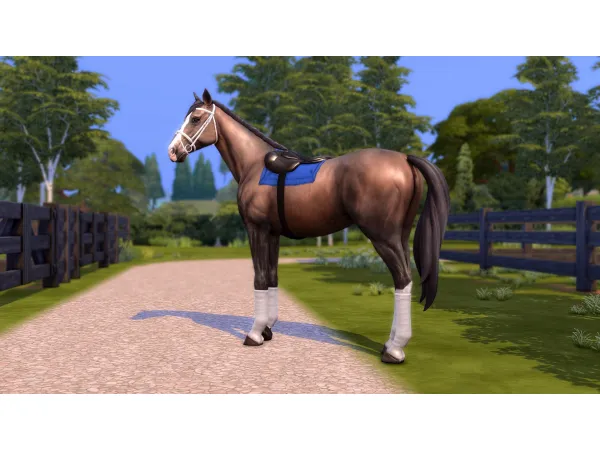 Maxis Match Racing Tack Set - The Sims 4 Custom Content