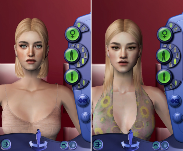 Sim Dump 2 100 Followers Gift by simsfinds - The Sims 2 Custom Content