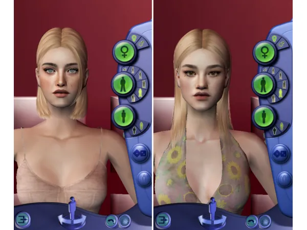 Sim Dump 2 100 Followers Gift - The Sims 2 Custom Content