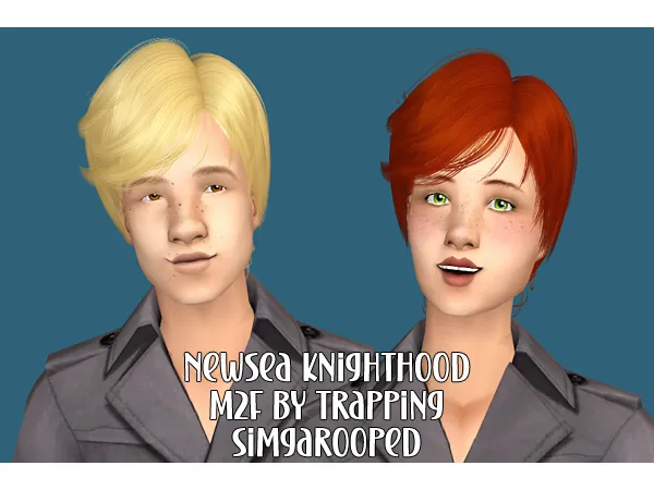 Newsea Knighthood - The Sims 2 Custom Content