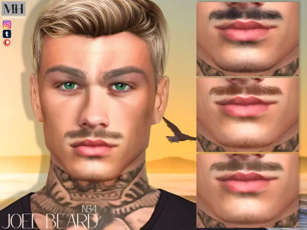 Joel Beard N34