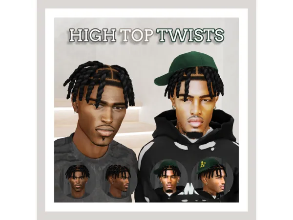 HIGH TOP TWISTS & BEARD N2