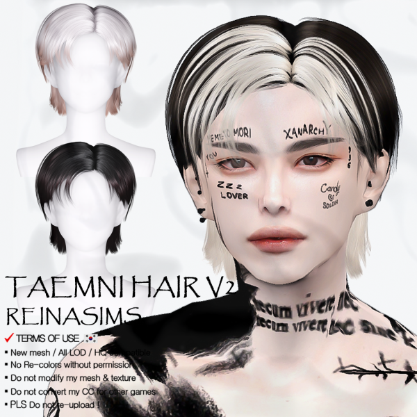 Alpha Reina 79 Taemni hair V2 by simsfinds - The Sims 4 Custom Content