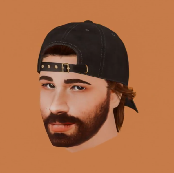 4t2 Evan Hairstyle Sims by simsfinds - The Sims 2 Custom Content