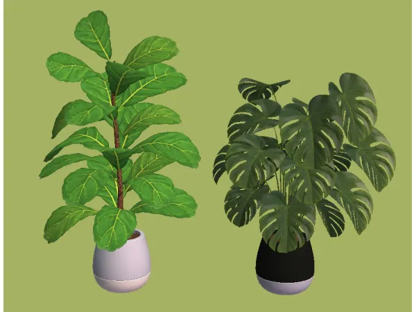 Haze Fig and Monstera Plants for - The Sims 2 Custom Content
