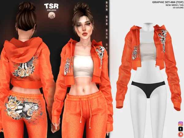 Alpha GRAPHIC SET 484 BD1272 BD1273 - The Sims 4 Custom Content
