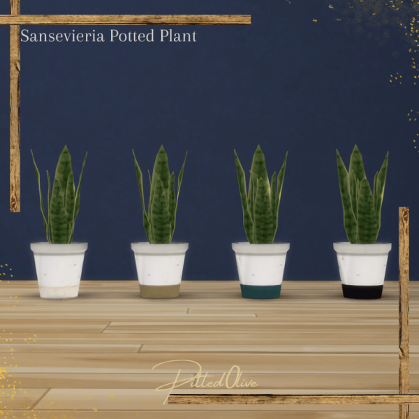 Mix Sansevieria Plant by pitted0live - The Sims 4 Custom Content