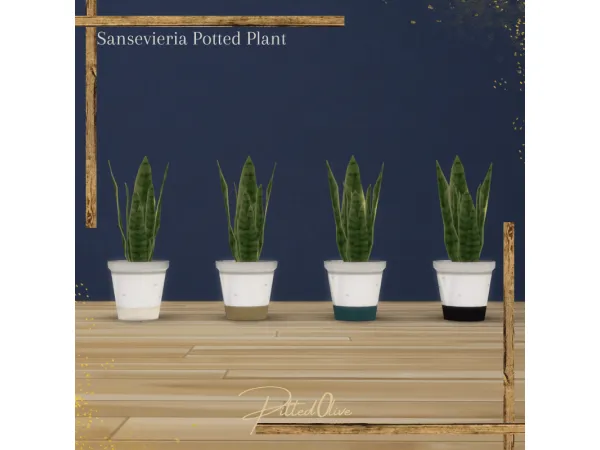 Mix Sansevieria Plant by Pitted0live - The Sims 4 Custom Content