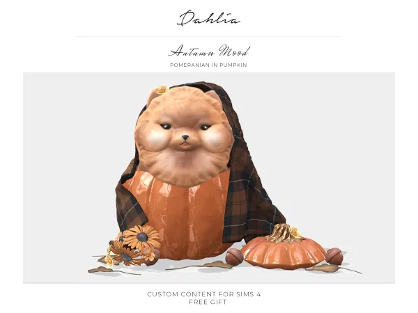 Alpha Dahlia Pomeranian in Pumpkin (gift) - The Sims 4 Custom Content