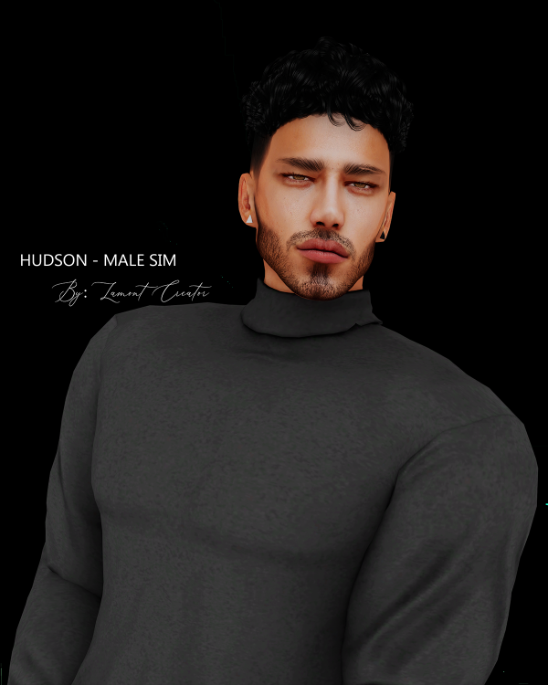 Mix hudson male sim by lamontcreatorr - The Sims 4 Custom Content