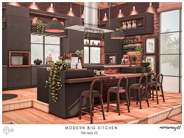 Modern Big Kitchen