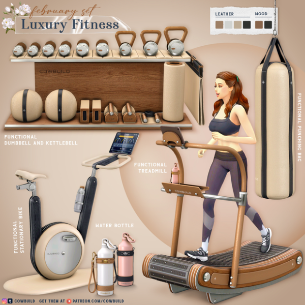 Alpha Luxury Fitness by cowbuild - The Sims 4 Custom Content