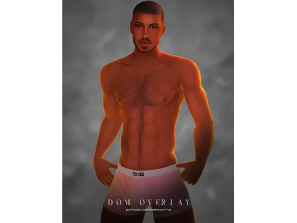 Maxis Match Dom Overlay - The Sims 4 Custom Content