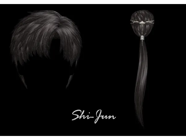 Alpha [shi] Zayne Braid hairornament - The Sims 4 Custom Content