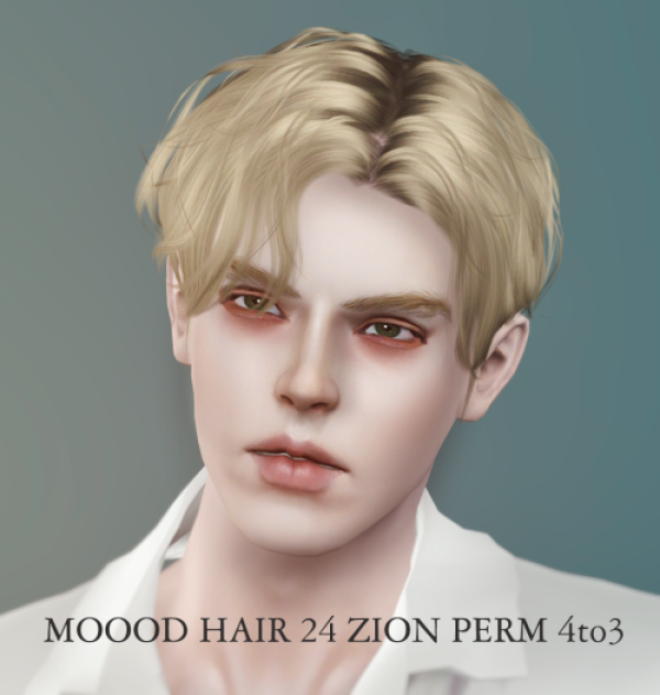 Ladybughome_MOOOD_HAIR_24_ZION PERM 4to3 by simsfinds - The Sims 3 Custom Content