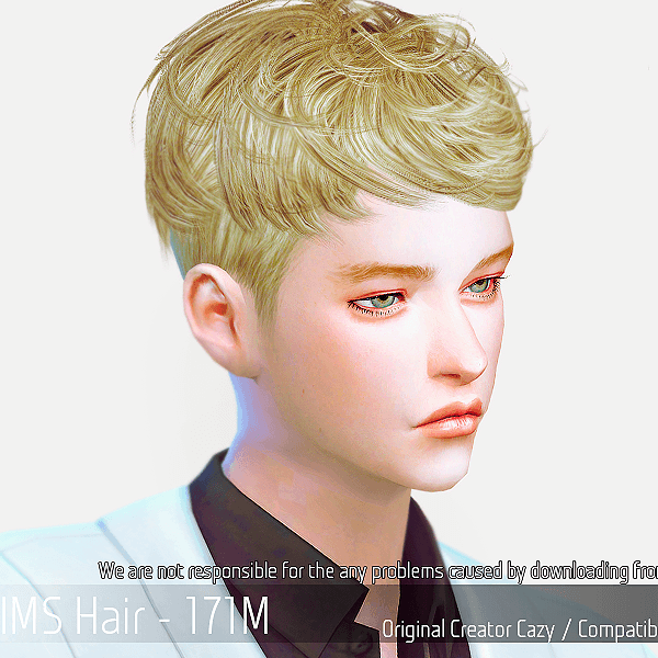 Alpha Korean Hairstyle 171M by simsfinds - The Sims 4 Custom Content