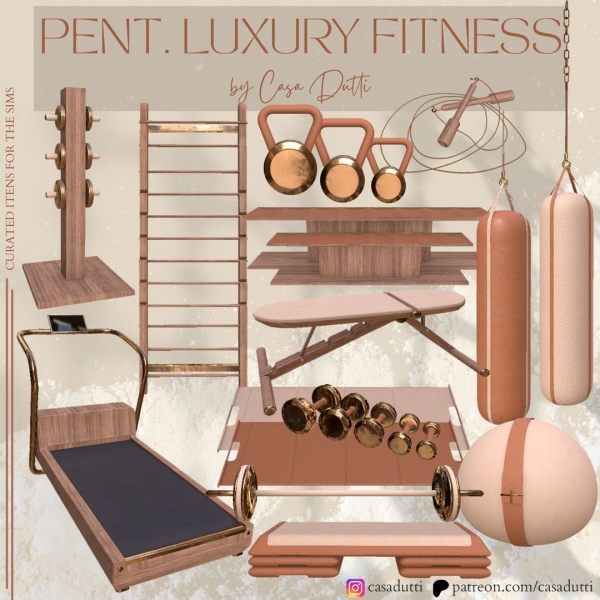 Alpha PENT Luxury Fitness by casadutti - The Sims 4 Custom Content