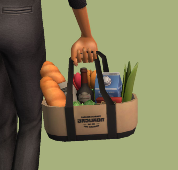 Better Grocery Bag Default Replacement by simsfinds - The Sims 2 Custom Content
