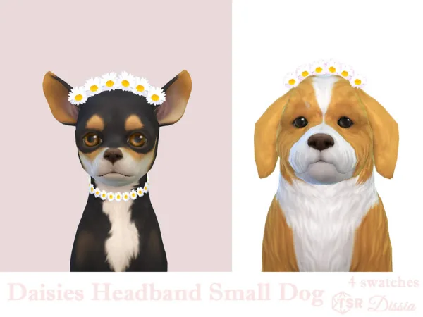 Maxis Match Daisies Headband Small Dogs by Dissia - The Sims 4 Custom Content