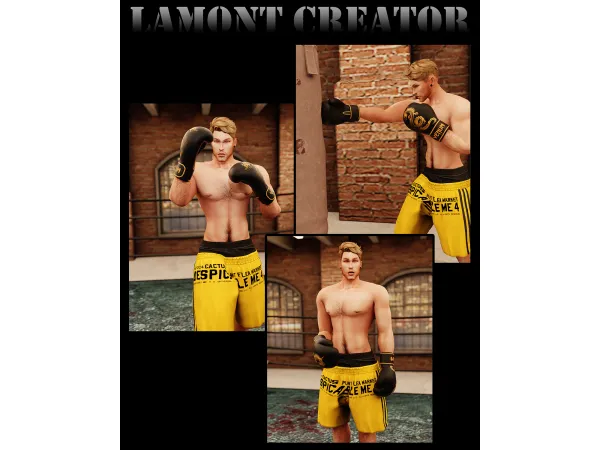 Mix boxing 3 - The Sims 4 Custom Content