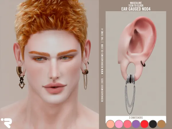 AM EAR GAUGED N004